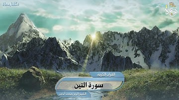 سورة التين تلاوة الشيخ الزين محمد أحمد