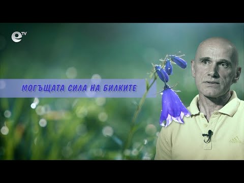 Видео: Ядливи билки в градината: имена и снимки. Ядливи диви билки