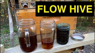 Flow Hive First Honey Harvest - Jerbee Apiary by Jerfish Entertainment, Music, Sailing, and Farms 454 views 1 year ago 5 minutes, 22 seconds