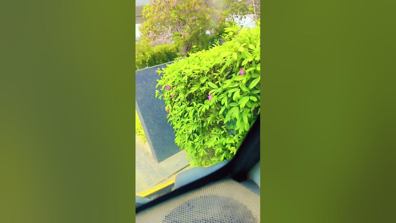 what is the location in Bangalore karnataka YouTube