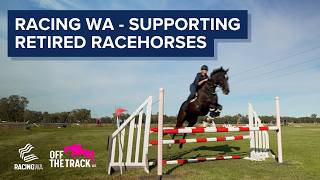 Off the Track WA - Racing WA's Support for Retired Racehorses