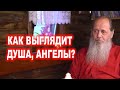 Как выглядит душа, ангелы?