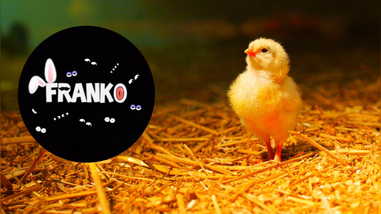 The Chicken Wing beat (bass boosted) YouTube