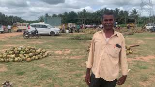 what is wholesale rate for coconuts in market?