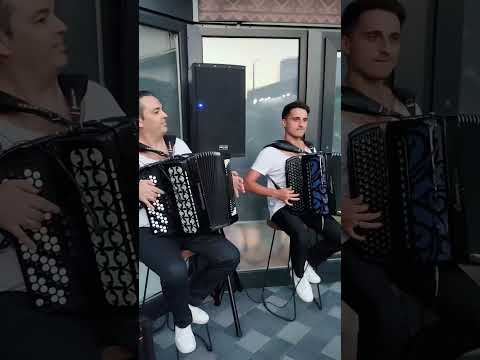 ЧАРДАШ #accordion #musicians