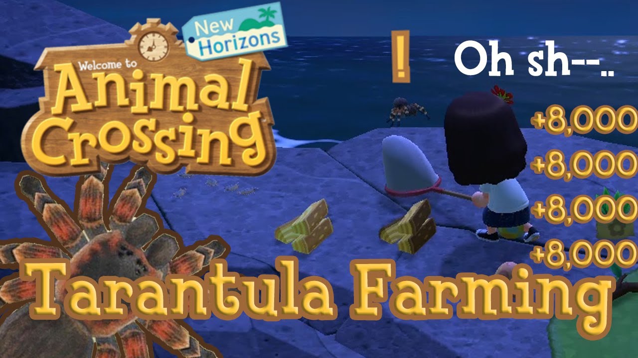 Learning Phases of Tarantula Farming in Animal Crossing New Horizons | +8,000 Bells Each