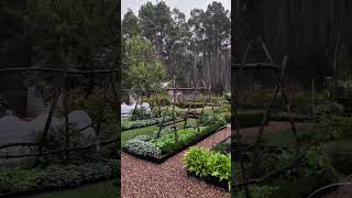 Gentle Rain on My Dream Garden 🌧️ – Pure Peace &amp; Gratitude | Real ASMR Bliss 😌
