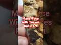 Ancient Man's Face Snakes #axe #tool #rockhounding lene-lenape  #portablerockart #rockhunting