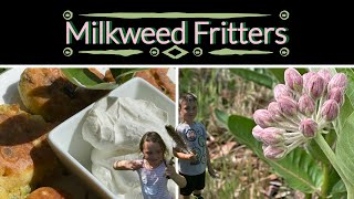 Identifying and collecting Milkweed flower-buds to make some Fritters!