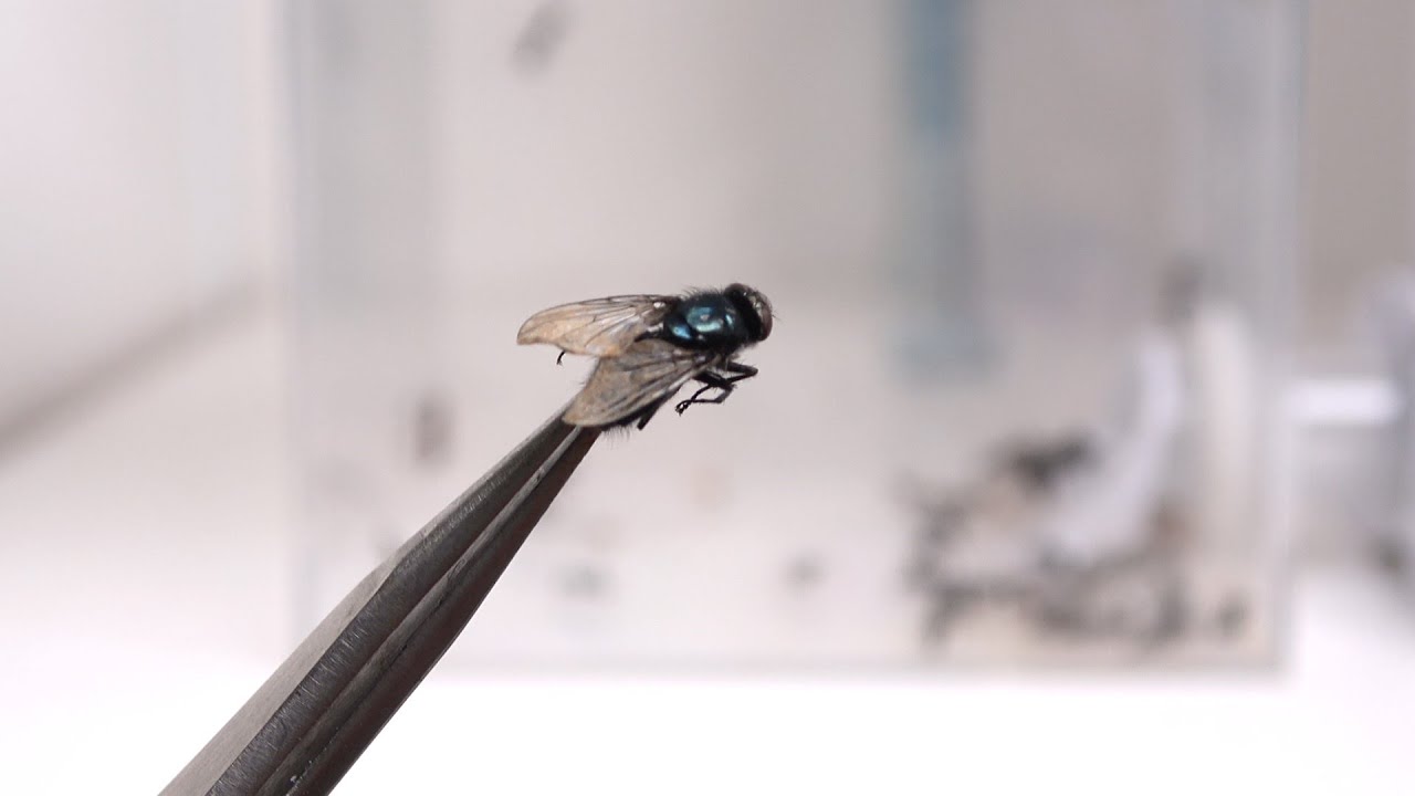 Vsz A6hjgr4ccm Vsz A6hjgr4ccm