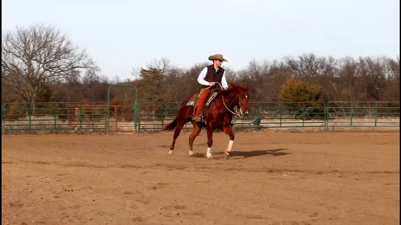HICK IN A GT LOT 117 Triangle Sales OKC YouTube