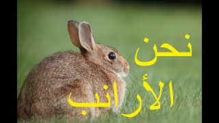 نحن الأرانب مع كلمات النشيد