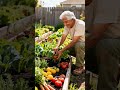 “Dejó la farmacia 💊… y su huerto lo sanó todo 🌱😱”
