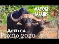 Mayogi Safaris Promo 2020