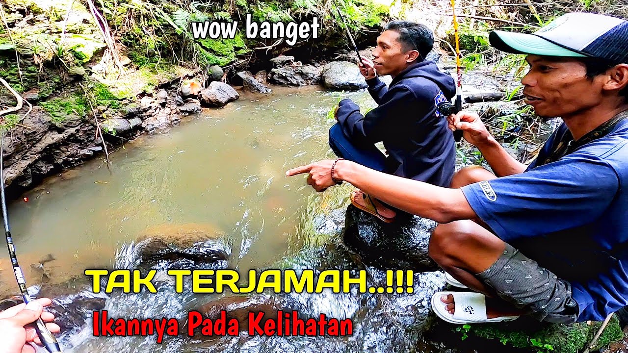 TAK TERJAMAH PEMANCING..!!! Ikannya Ngumpul Disini.