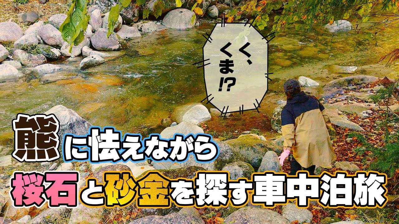 「もしかして熊？」栃木県から群馬県へ熊に怯えながら砂金と桜石を探す車中泊の旅