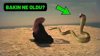 Namaz Kılarken Bu Kadının Yanına Yılan Geldi, Bakın Sonra Ne Oldu? İlginç Olay