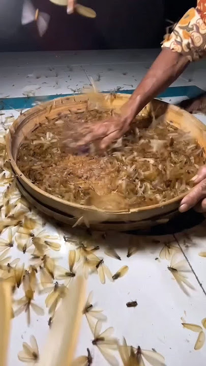mupu laron