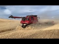 Harvesting in the Hills of the Palouse!