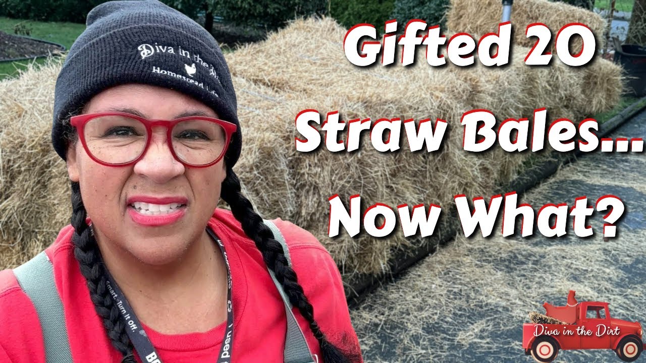 Привоз тюков соломы: почему этот подарок меняет правила игры.