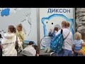 Обновленное оформление вольера белого медведя Диксона в Московском зоопарке