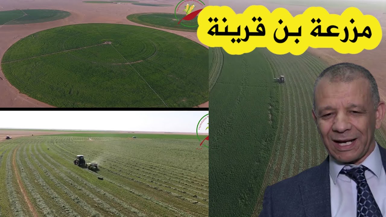 أول فيديو يُظهر مزرعة بن قرينة التي تتربع على مساحة 1000 هكتار ..هذه هي الأراضي التي تحصل عليها