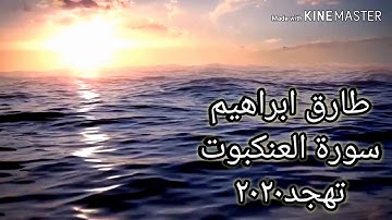 طارق ابراهيم سورة العنكبوت تهجد 2020