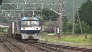 JR貨物 EF210-115 貨物列車(5060レ 桃太郎 100番台パンタ交換機) 柏原駅通