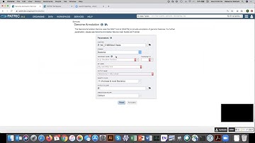 Submitting a job to PATRIC Genome Annotation Service