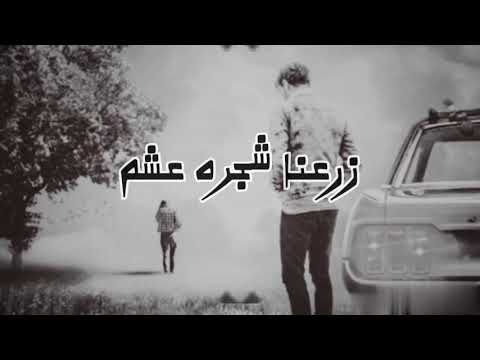 اغنيه شجره عشم   شجره عشم توزيع اوشوو المهتدي