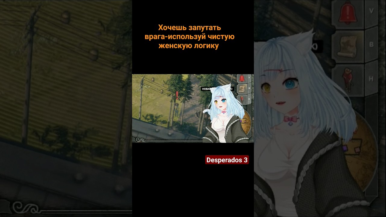 women's moment / непобедимая кошачья логика в Desperados 3 