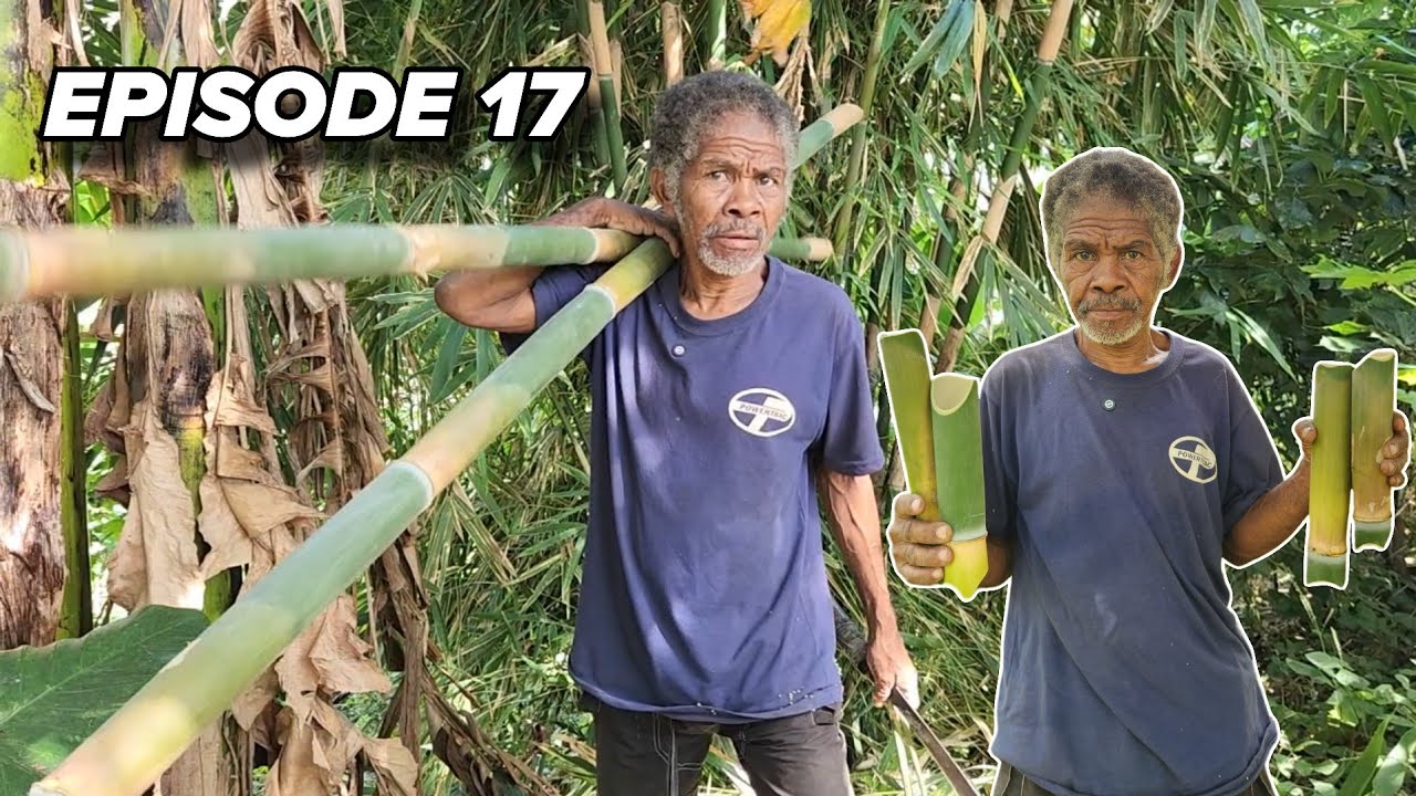 EP17 BAGONG PAMILYA NA KATUTUBO AMING NATUKLASAN SA GITNA NG KABUNDUKAN NAKATIRA