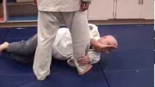 Budoshin Jujitsu Training Tip Counter For Kicks On The Ground
