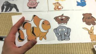 Special Needs Lesson for Junior High in Japan