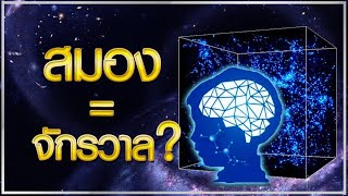 นักวิทยาศาสตร์พบ 'กฎธรรมชาติ' ที่เรายังไม่รู้จัก สร้างสมองมนุษย์กับจักรวาลให้คล้ายกันอย่างน่าประหลาด