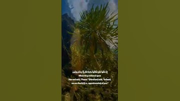 (نَبِّىءْ عِبَادِي أَنِّي أَنَا الْغَفُورُ الرَّحِيمُ) القارئ اسلام صبحي حالات واتس اب❤🥺🍁