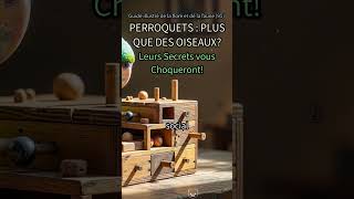 95. PERROQUETS : Leur Intelligence Va Vous Épater ! 🦜🤯 #Perroquets #IntelligenceAnimale #Oiseau