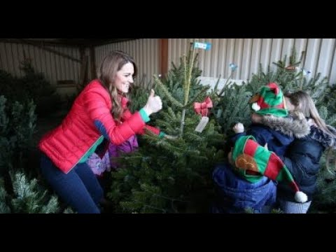 Video: Kate Middleton Knows How To Choose The Best Christmas Tree