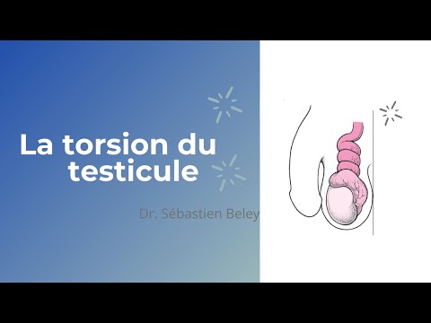 Vidéo: L'injection Locale De Cellules Souches Mésenchymateuses Protège Les Lésions Des Cellules Germinales Induites Par La Torsion Testiculaire