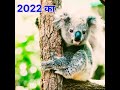 2022 koala and 4000 bce koala  mythology royal king mj 1m shortviral trending