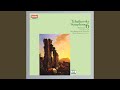 Miniature de la vidéo de la chanson Symphony No. 6 In B Minor, Op. 74 “Pathétique”: Iv. Finale. Adagio Lamentoso