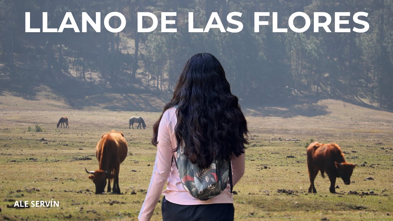 EXPLORANDO LLANO DE LAS FLORES, OAXACA 🇲🇽🏞️😱