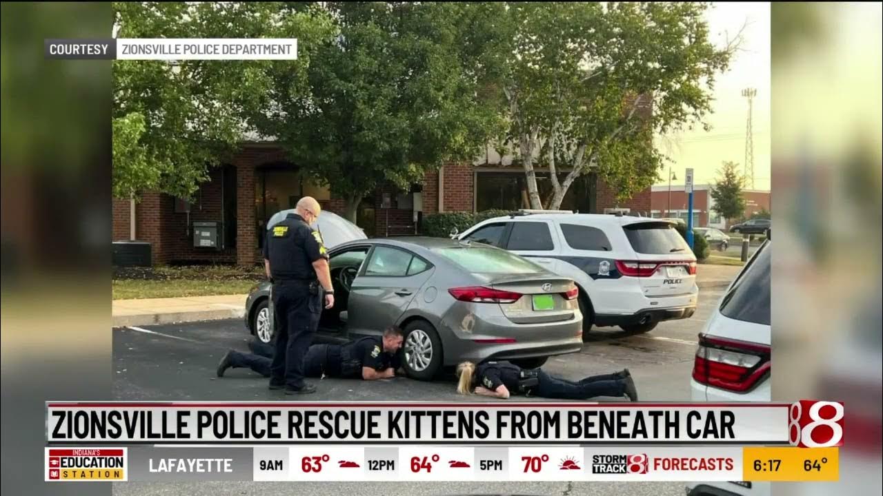 Zionsville police rescue kittens from car's engine YouTube