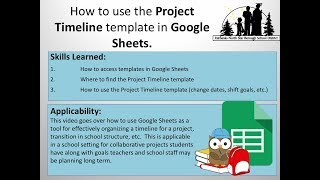 How to use the Project Timeline Template in Google Sheets