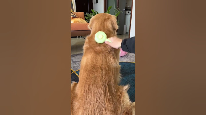 🐾✨ Tired of pet hair everywhere? Our innovative pet hair remover comb is here to save the day!