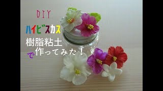 ＃樹脂粘土＃ﾊｲﾋﾞｽｶｽ　　　　　　　　　　　　　　　　　　　　　　　　　　　　　　　　　　　　　　　　　　　　　　　　　　　　DIY#24【樹脂粘土～】ﾊｲﾋﾞｽｶｽと仲間たち編