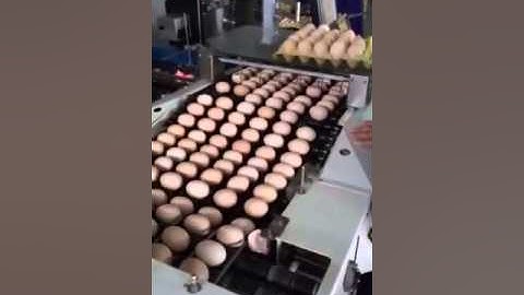 CO2 Laser Marking (Eggs)