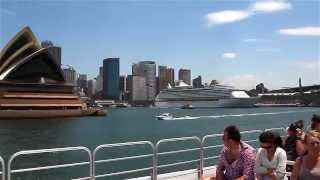 Whale Watching Sydney