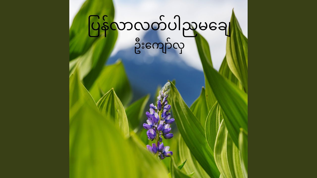 ပြန်လာလတ်ပါညမချေ