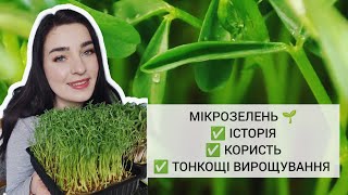 ЯК ВИРОЩУВАТИ МІКРОЗЕЛЕНЬ 🌱 ? ЛАЙФХАКИ, ТОНКОЩІ ВИРОЩУВАННЯ МІКРОЗЕЛЕНІ